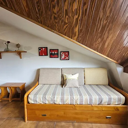 3000 Apartment Formigal