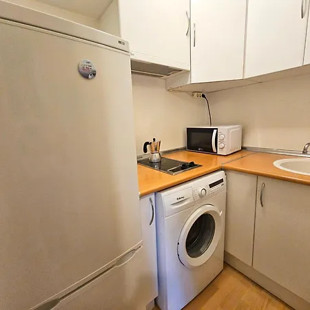 公寓 弗米加尔公寓 *